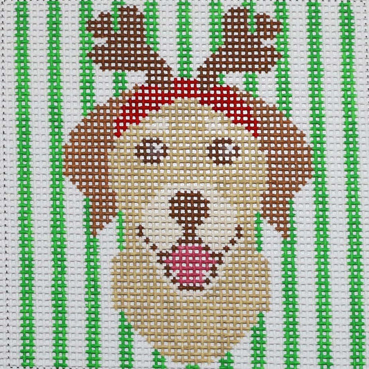 Golden Retriever w/ Antlers