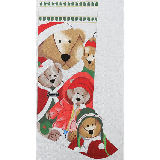 Bear Stocking