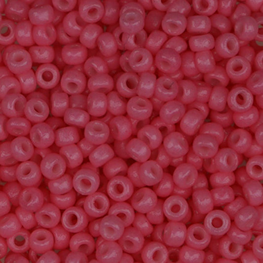 Sundance Size 11 867