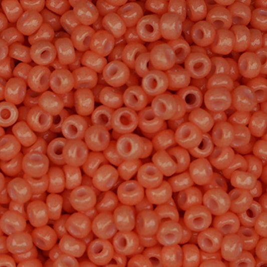 Sundance Size 14 862