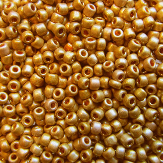 Sundance Size 14  F471