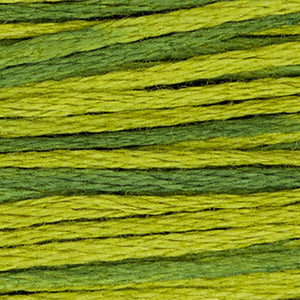 Weeks Dye Works Floss Moss Green