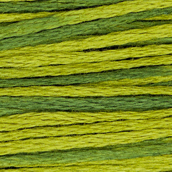 Weeks Dye Works Floss Moss Green