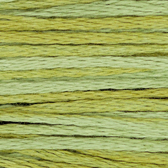 Weeks Dye Works Floss Scuppermong